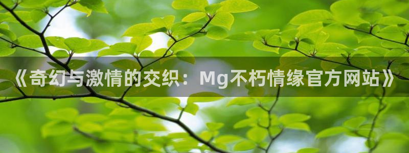wg电子注册：《奇幻与激情的交织：Mg不朽情缘官方网站》