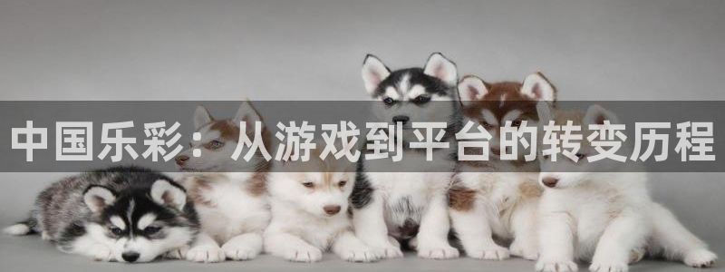 wg电子水浒传最简单打法：中国乐彩：从游戏到平台的转变历程