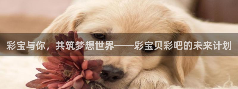 wg电子网站：彩宝与你，共筑梦想世界——彩宝贝彩吧的未来计划
